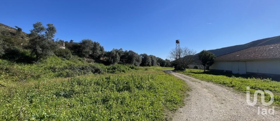 Quinta T5 em Alverca do Ribatejo e Sobralinho de 304 m²