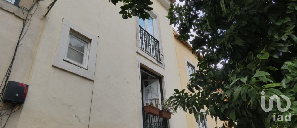 Apartment T1 in Santa Maria Maior of 38 m²