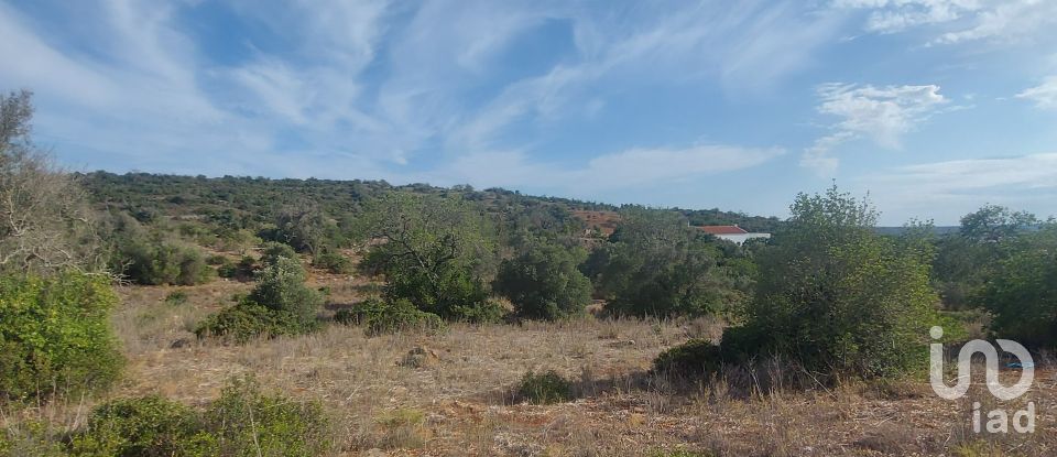 Building land in Algoz e Tunes of 54,720 m²