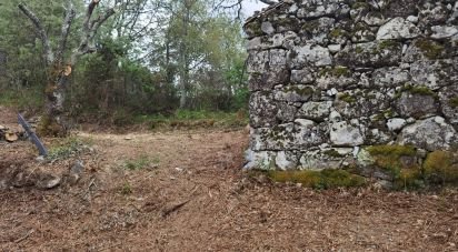 Maison rustique T0 à Aldeias e Mangualde da Serra de 40 m²