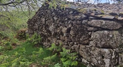 Maison rustique T0 à Aldeias e Mangualde da Serra de 40 m²
