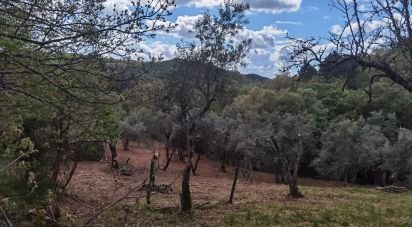 Maison rustique T0 à Aldeias e Mangualde da Serra de 40 m²