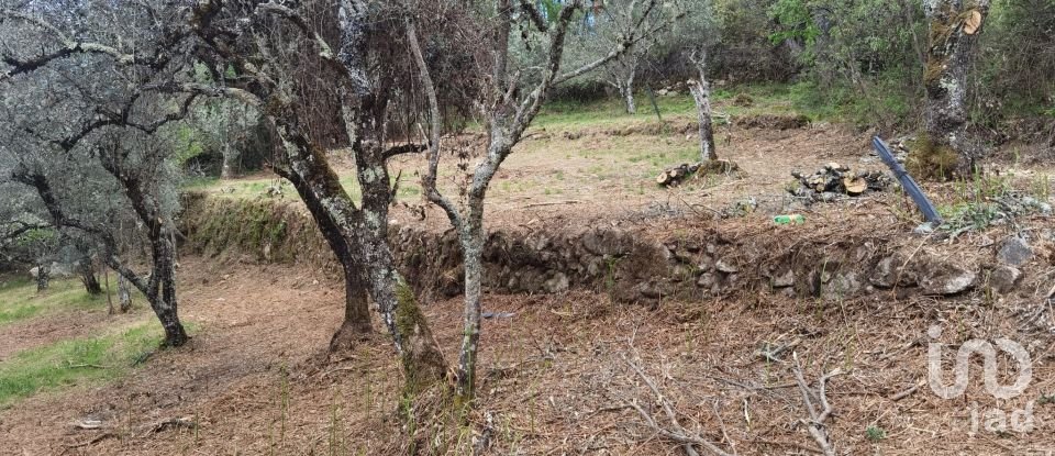 Maison rustique T0 à Aldeias e Mangualde da Serra de 40 m²