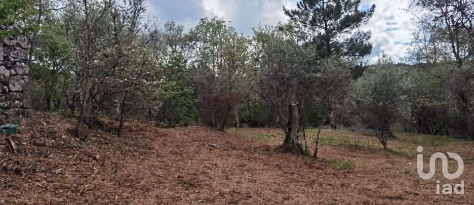 Maison rustique T0 à Aldeias e Mangualde da Serra de 40 m²