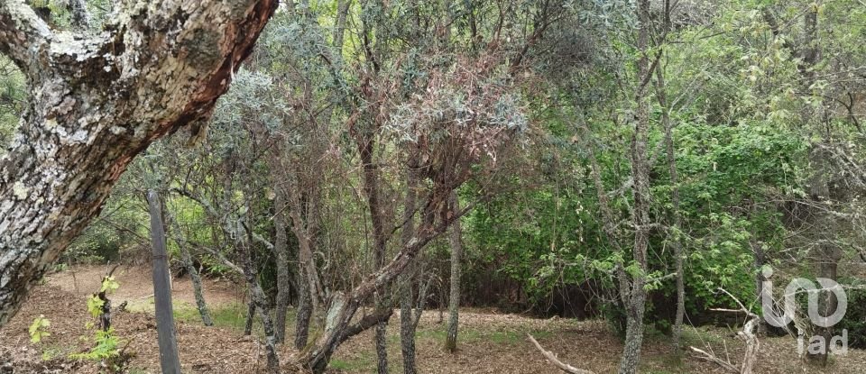 Maison rustique T0 à Aldeias e Mangualde da Serra de 40 m²