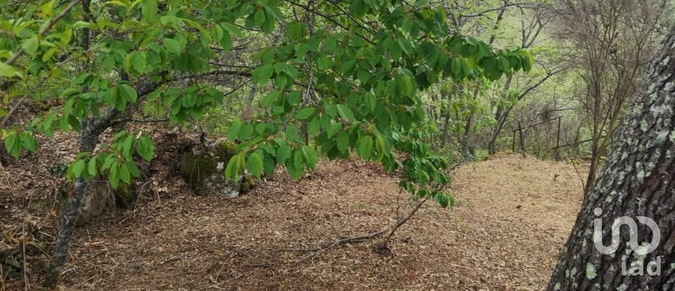 Maison rustique T0 à Aldeias e Mangualde da Serra de 40 m²