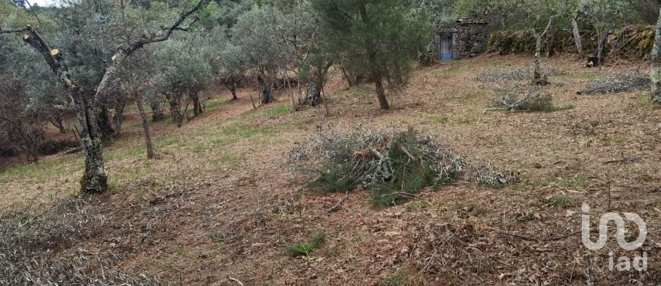 Maison rustique T0 à Aldeias e Mangualde da Serra de 40 m²