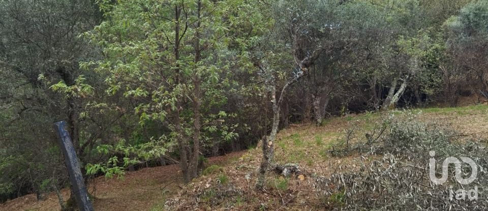 Maison rustique T0 à Aldeias e Mangualde da Serra de 40 m²