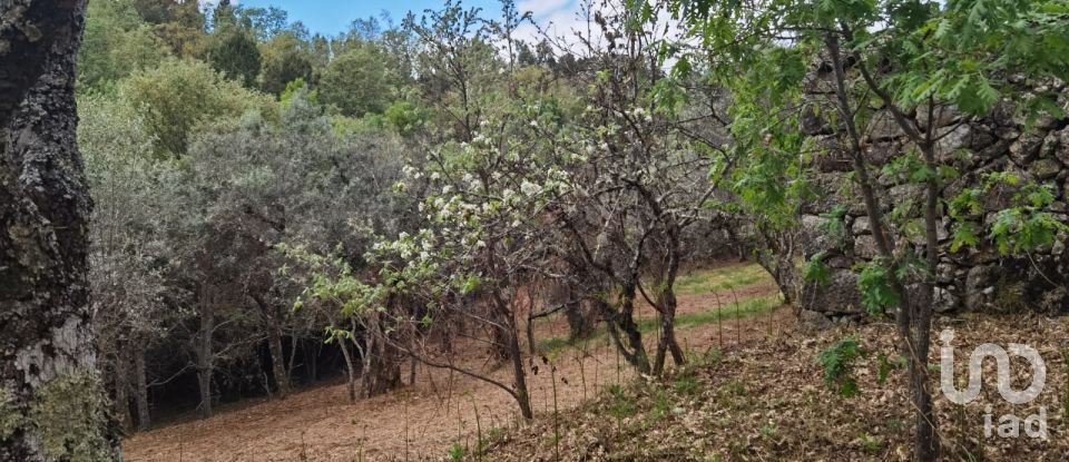 Maison rustique T0 à Aldeias e Mangualde da Serra de 40 m²