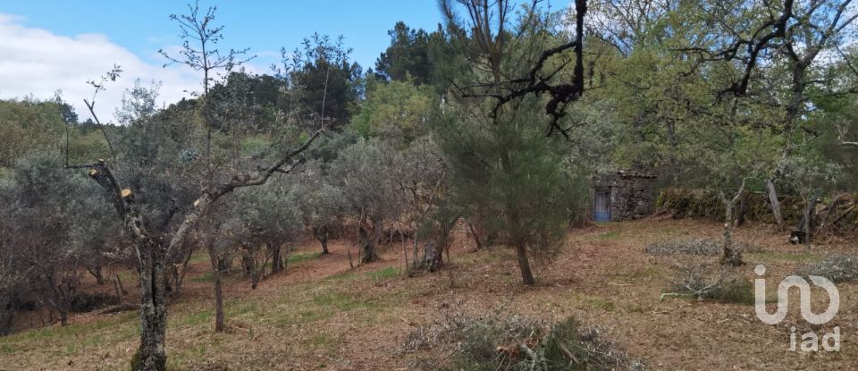 Maison rustique T0 à Aldeias e Mangualde da Serra de 40 m²