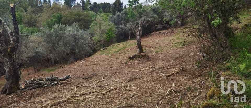 Maison rustique T0 à Aldeias e Mangualde da Serra de 40 m²