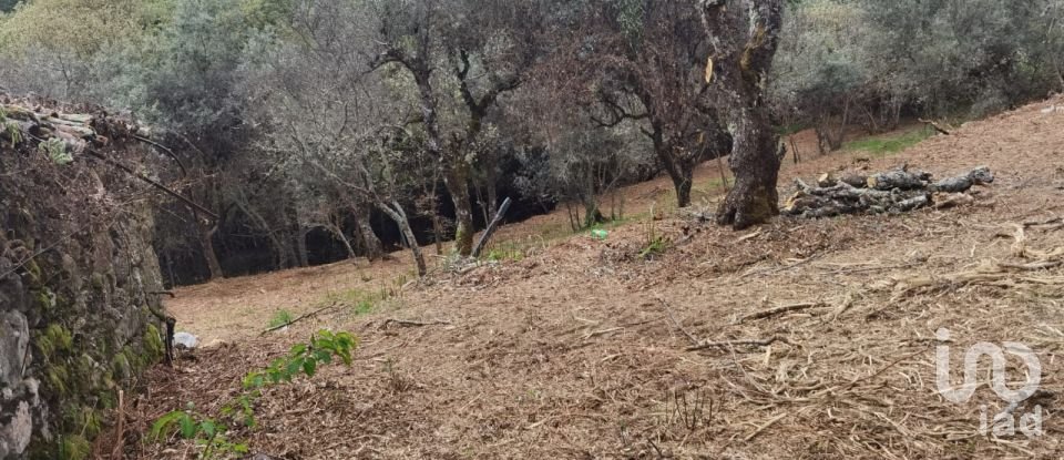 Maison rustique T0 à Aldeias e Mangualde da Serra de 40 m²