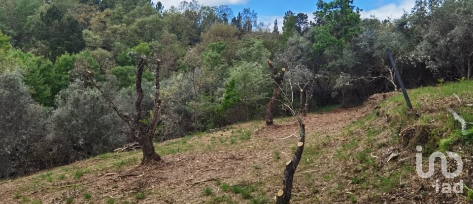 Maison rustique T0 à Aldeias e Mangualde da Serra de 40 m²