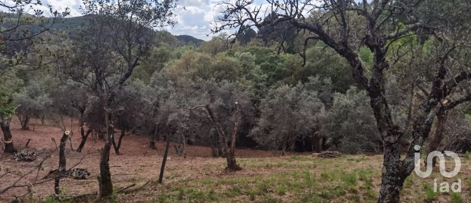 Maison rustique T0 à Aldeias e Mangualde da Serra de 40 m²