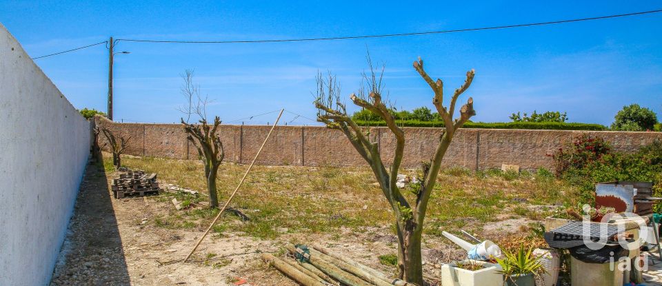 Ferme T6 à Silveira de 322 m²