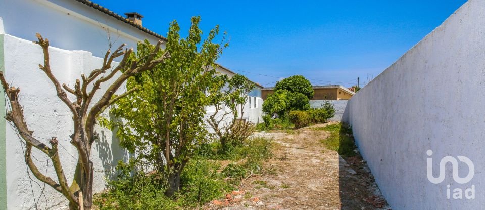 Ferme T6 à Silveira de 322 m²
