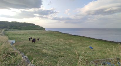 Terrain agricole à Agualva de 15 488 m²