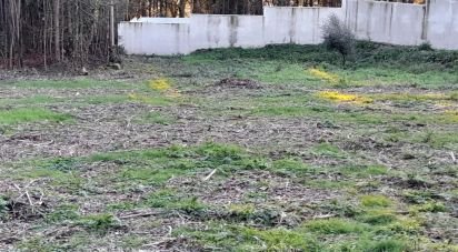 Terrain à bâtir à Galegos (Santa Maria) de 792 m²