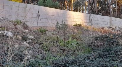 Terrain à bâtir à Galegos (Santa Maria) de 792 m²
