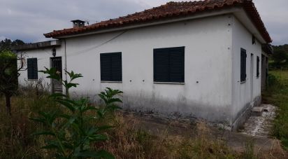 Village house T3 in Pousa of 184 m²