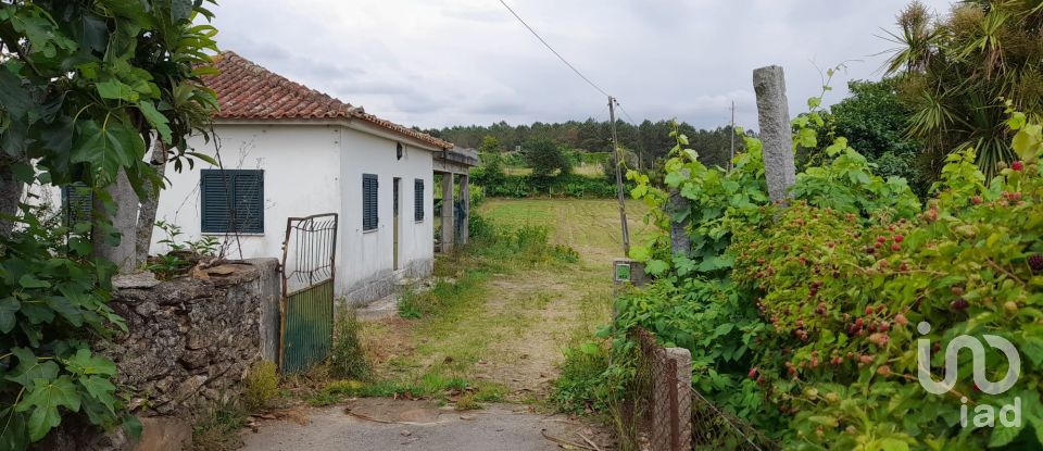 Casa de aldeia T3 em Pousa de 184 m²