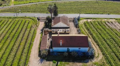 Ferme T3 à Carvoeira e Carmões de 206 m²