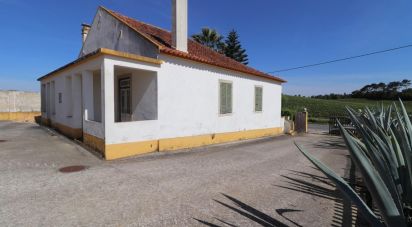 Ferme T3 à Carvoeira e Carmões de 206 m²