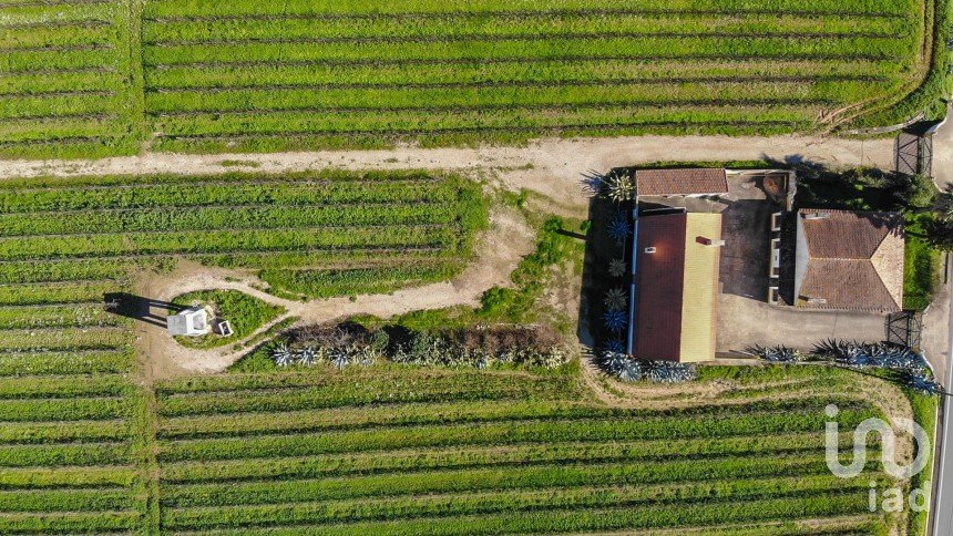 Quinta T3 em Carvoeira e Carmões de 206 m²