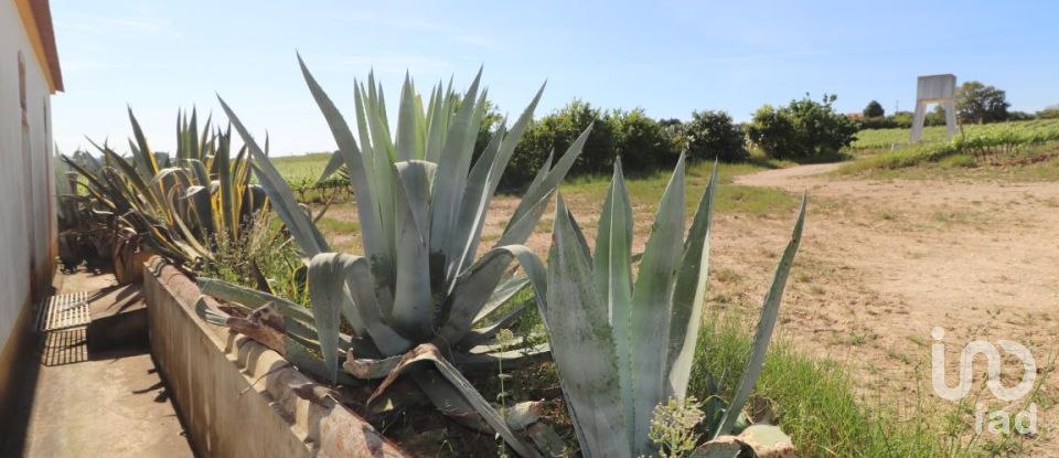 Quinta T3 em Carvoeira e Carmões de 206 m²