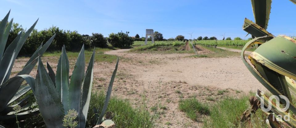 Quinta T3 em Carvoeira e Carmões de 206 m²