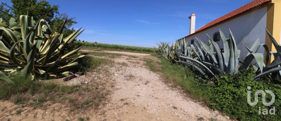 Quinta T3 em Carvoeira e Carmões de 206 m²