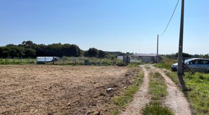 Terrain à Belinho e Mar de 1 180 m²