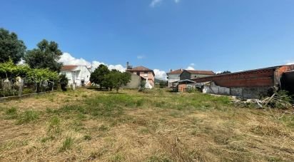 Maison T6 à Arcozelo de 400 m²