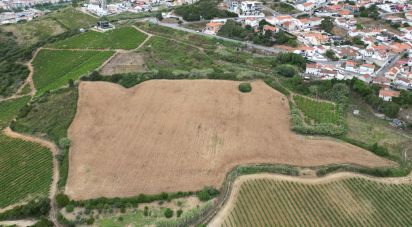 Agricultural land in Santa Maria, São Pedro E Matacães of 31,440 m²