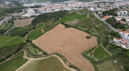 Terrain agricole à Santa Maria, São Pedro E Matacães de 31 440 m²