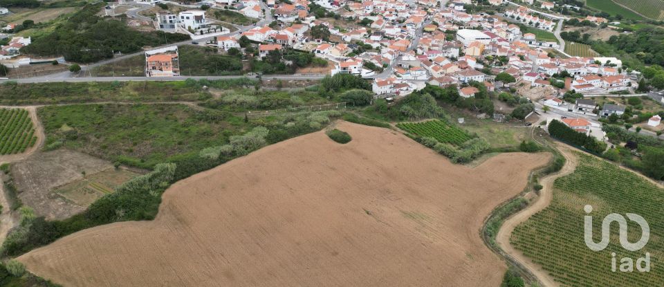 Terreno Agrícola em Santa Maria, São Pedro E Matacães de 31 440 m²
