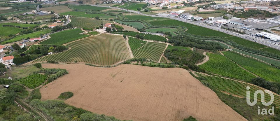 Terreno Agrícola em Santa Maria, São Pedro E Matacães de 31 440 m²