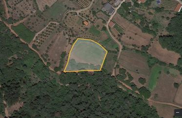 Agricultural land in São Miguel, Santa Eufémia e Rabaçal of 2,620 m²