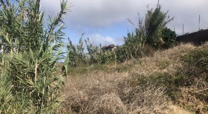 Terrain à Canhas de 434 m²
