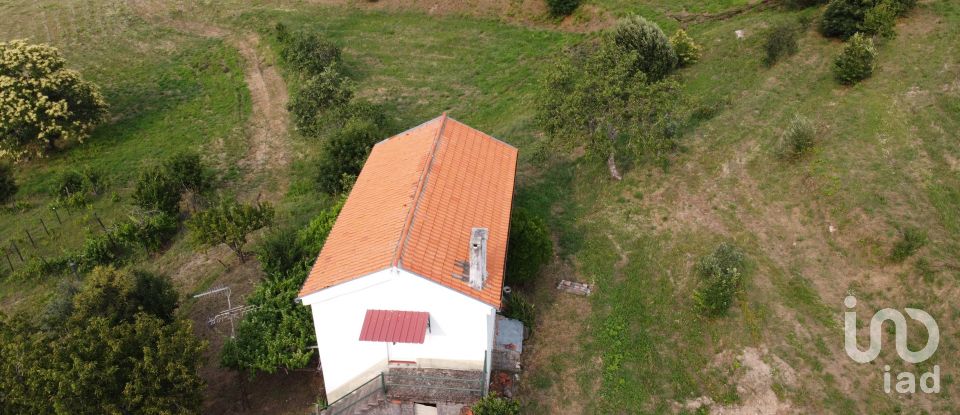 Farm T5 in São Paio of 250 m²