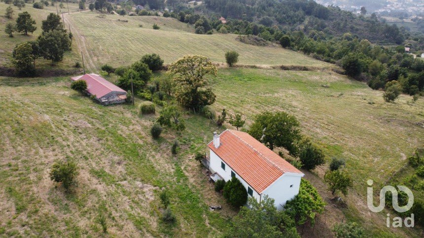 Farm T5 in São Paio of 250 m²