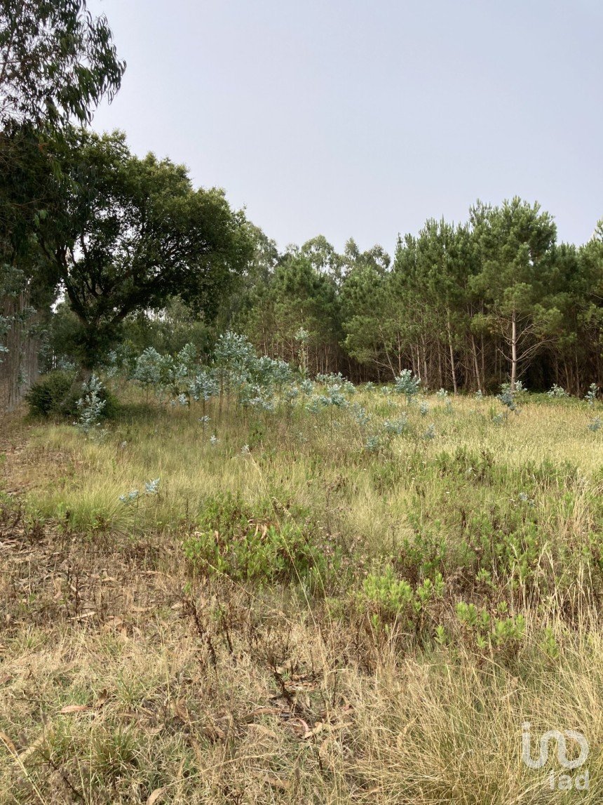 Terreno rústico em Moita dos Ferreiros de 3 360 m²