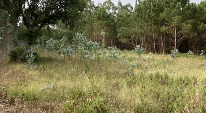 Terrain agricole à Moita dos Ferreiros de 3 360 m²