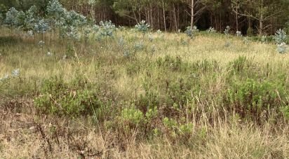 Terrain agricole à Moita dos Ferreiros de 3 360 m²