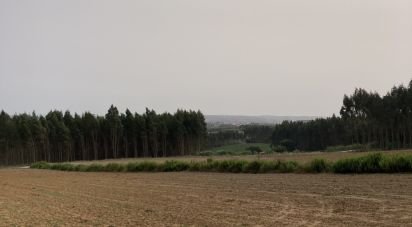 Terrain agricole à Moita dos Ferreiros de 3 360 m²