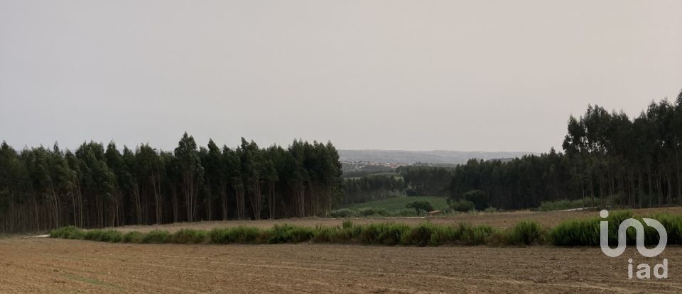 Terreno rústico em Moita dos Ferreiros de 3 360 m²