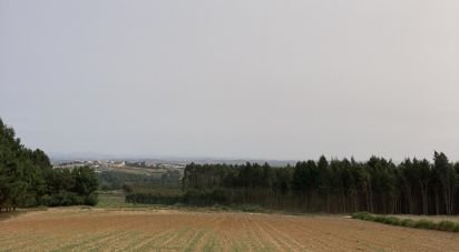 Terrain agricole à Moita dos Ferreiros de 3 360 m²