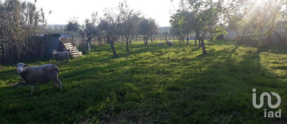 Building land in Vaiamonte of 530 m²