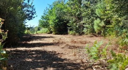 Terrain à bâtir à Oliveira de 5 740 m²