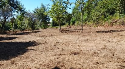 Terrain à bâtir à Oliveira de 5 740 m²
